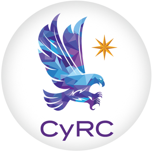 Black Duck Author Cybersecurity Research Center
